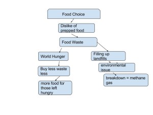 tqm5269 food choice diagram