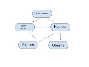 food choice diagram