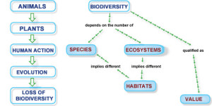 biodiversity diagram