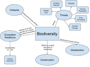 mad5946_biodiversity_diagram